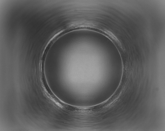 X0000083970790200702161102