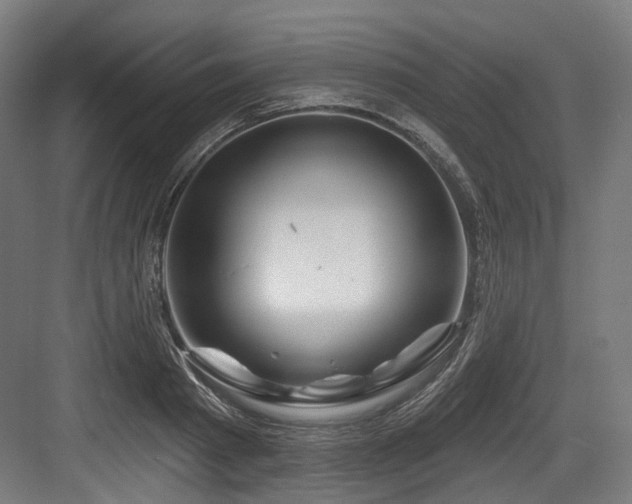 X0000083970793200702161102
