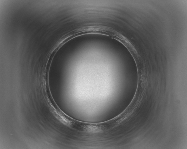 X0000083970794200702161102