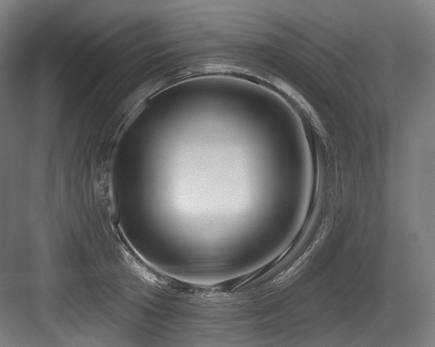 X0000083970801200702161102