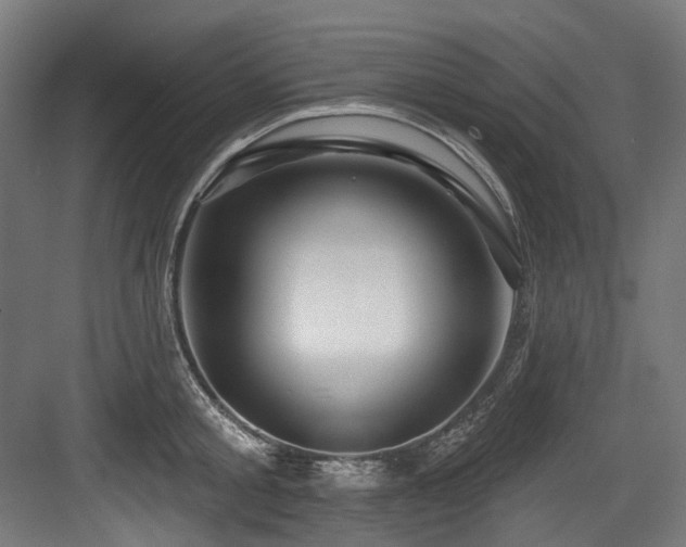 X0000083970805200702161102