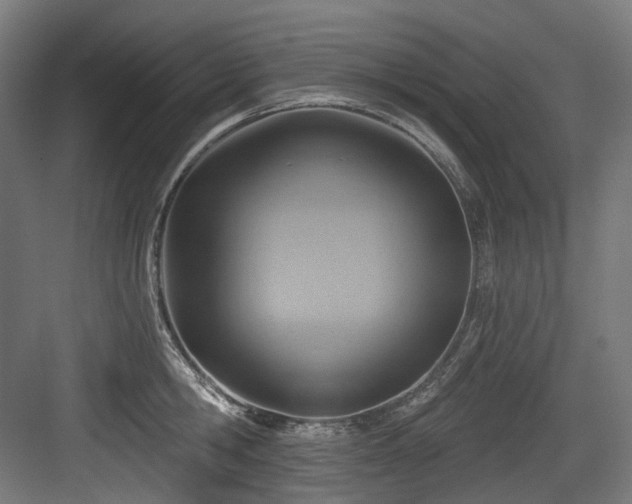 X0000083970806200702161102