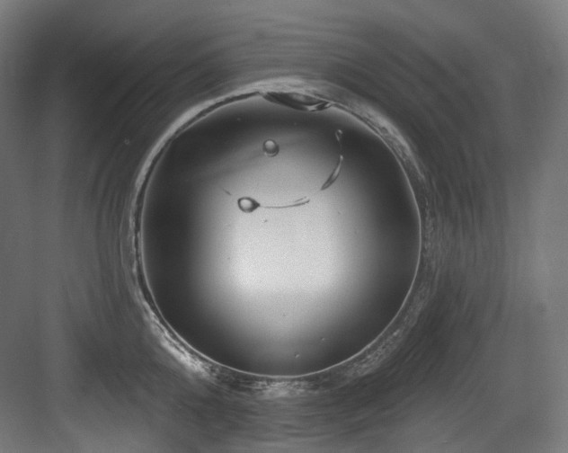 X0000083970808200702161102