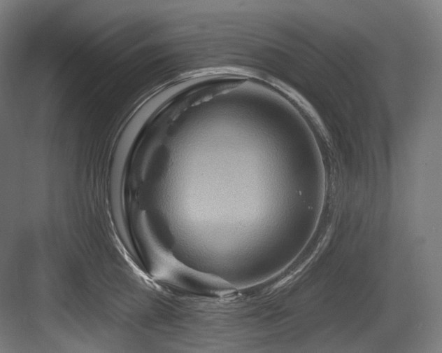 X0000083970809200702161102