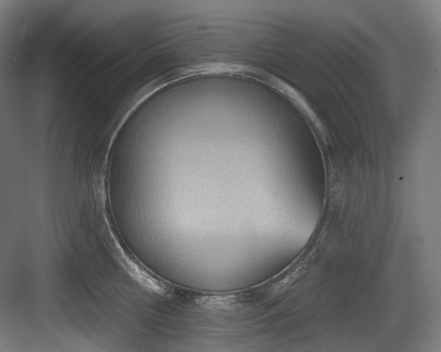 X0000083970810200702161102
