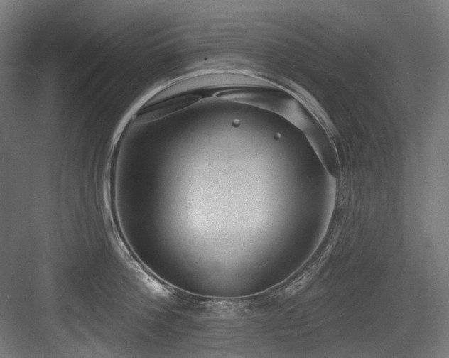 X0000083970812200702161102