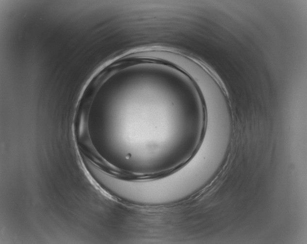 X0000083970813200702161102