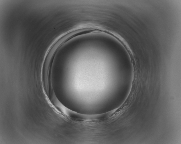 X0000083970815200702161102
