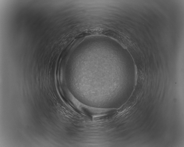 X0000083970818200702161101