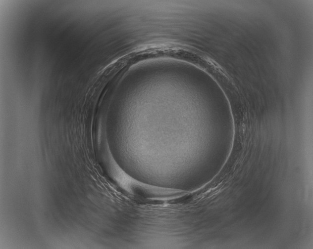 X0000083970822200702161101