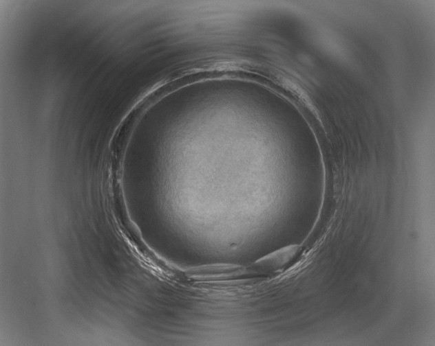 X0000083970827200702161101