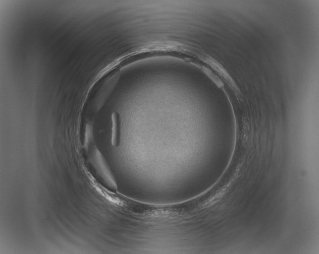X0000083970834200702161101