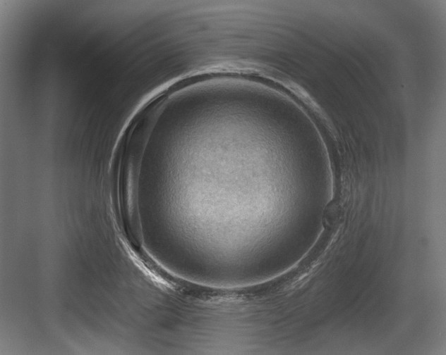 X0000083970838200702161101