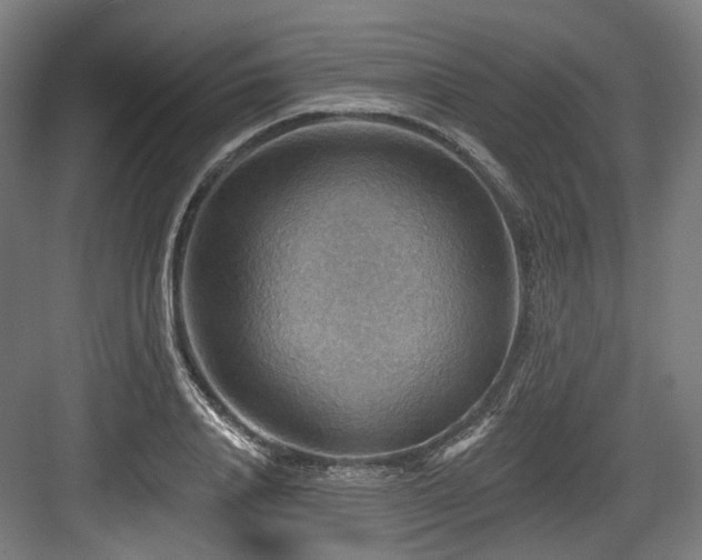 X0000083970840200702161101