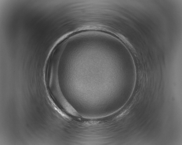 X0000083970846200702161101