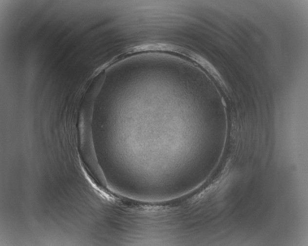 X0000083970849200702161101