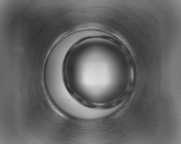 X0000083970850200702161101