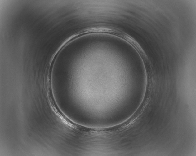 X0000083970852200702161101