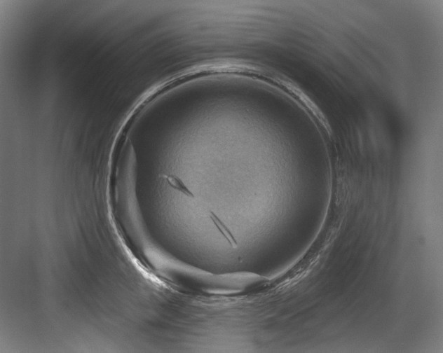 X0000083970853200702161101