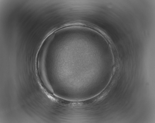 X0000083970858200702161102