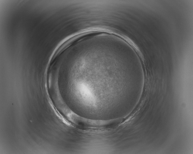 X0000083970862200702161102