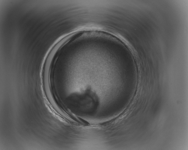 X0000083970864200702161102
