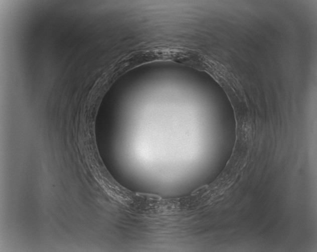 X0000083970865200702161101