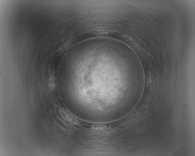 X0000083970866200702161101