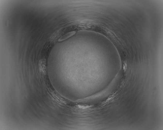 X0000083970867200702161101
