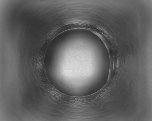 X0000083970869200702161101