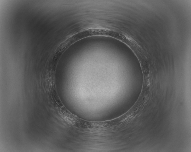 X0000083970870200702161101
