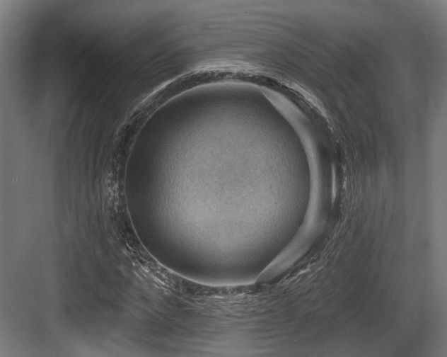 X0000083970872200702161101