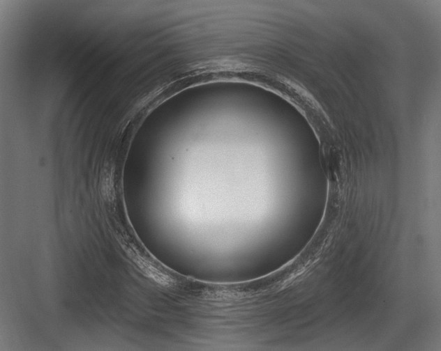 X0000083970873200702161101