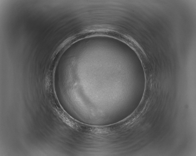 X0000083970874200702161101