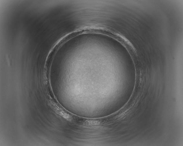 X0000083970878200702161101