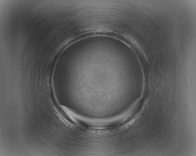 X0000083970881200702161101