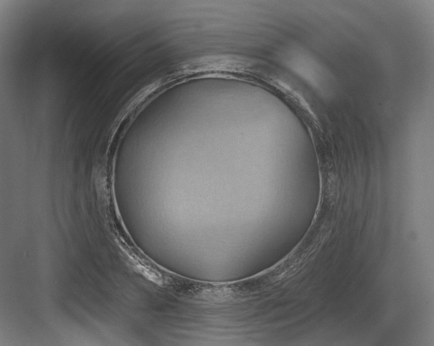 X0000083970882200702161101
