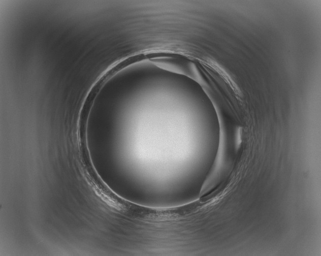 X0000083970884200702161100