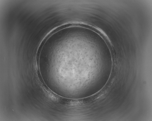 X0000083970887200702161100