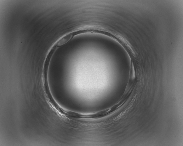 X0000083970888200702161100