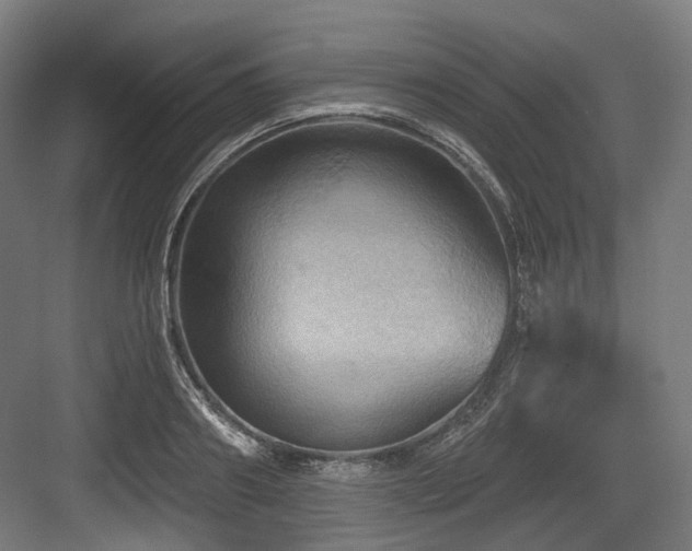 X0000083970890200702161100