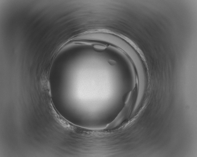 X0000083970905200702161100