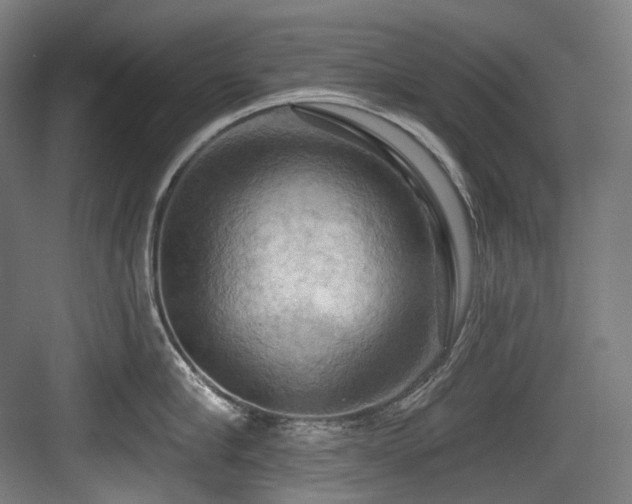 X0000083970910200702161100