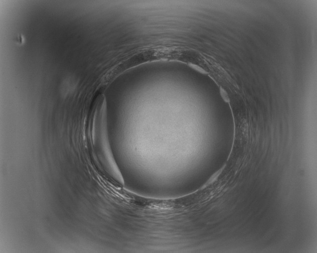 X0000083970914200702161059