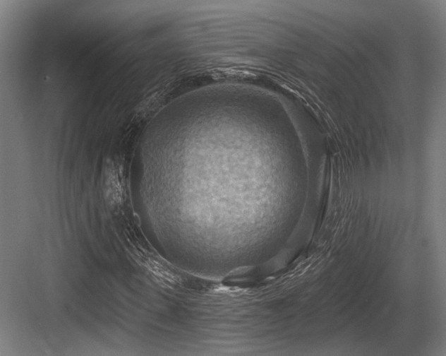X0000083970915200702161059