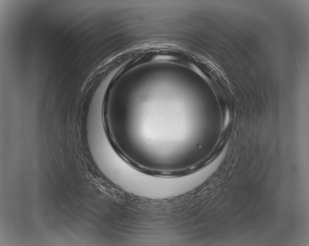X0000083970920200702161059