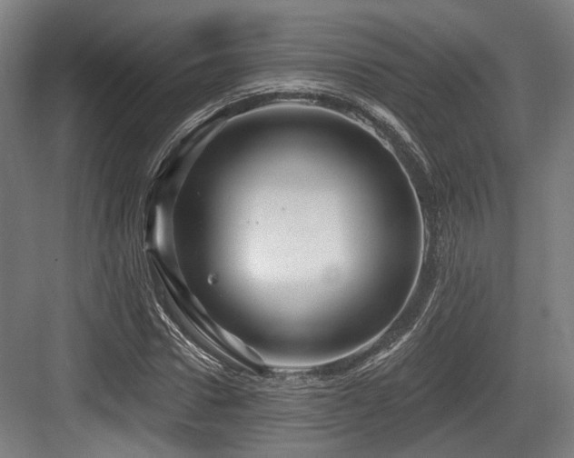 X0000083970922200702161059