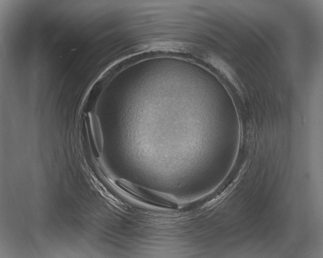 X0000083970923200702161059