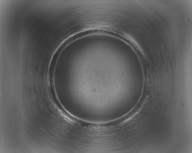 X0000083970924200702161059