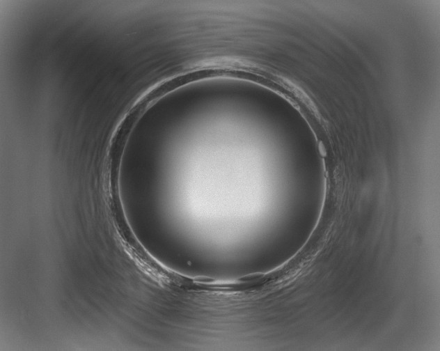 X0000083970931200702161100